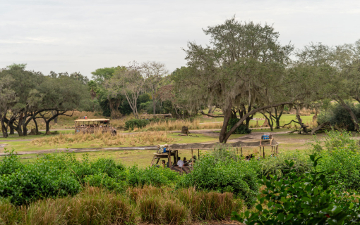 kilimanjaro-safari