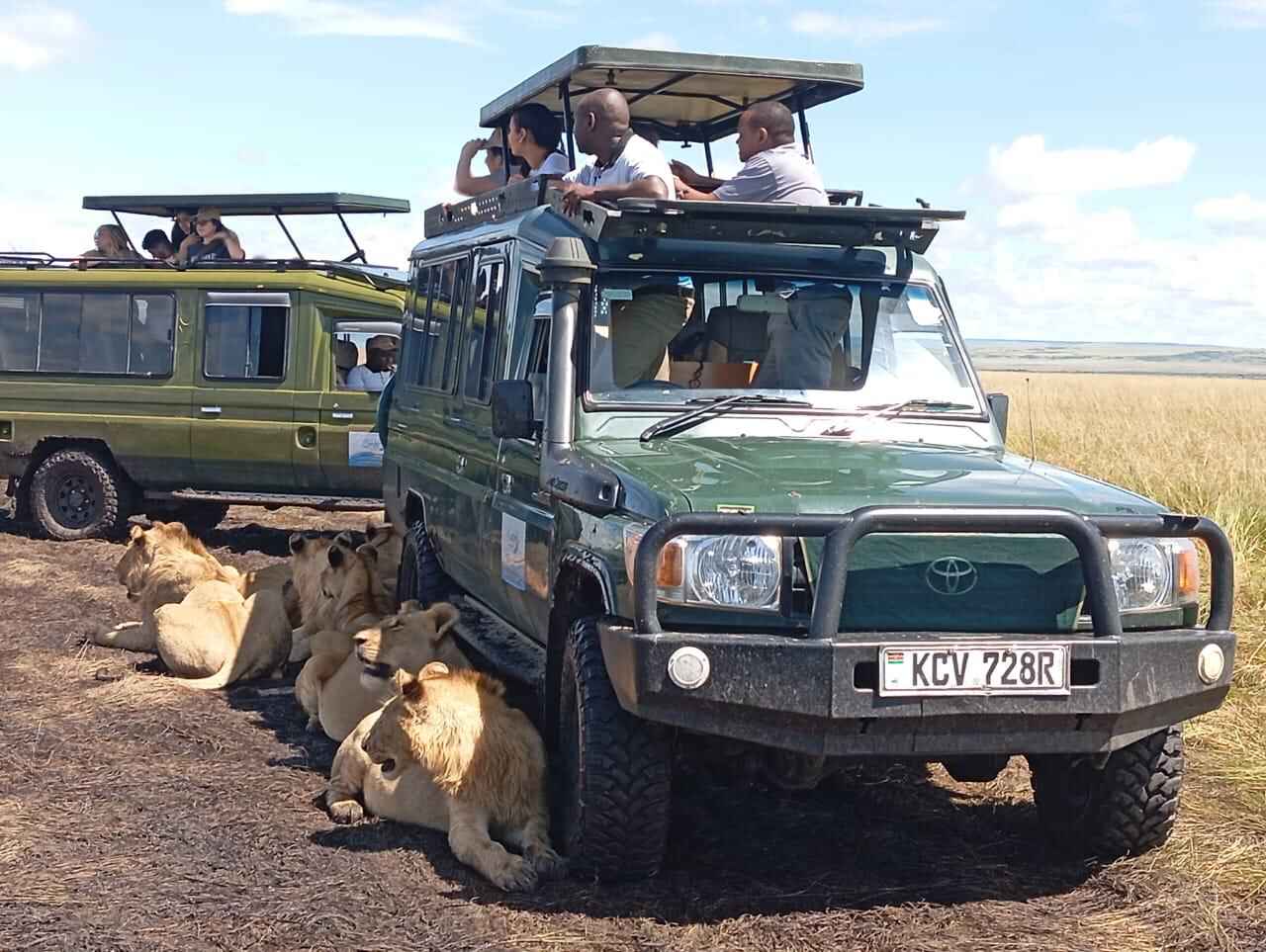 Kenyan safari image 7