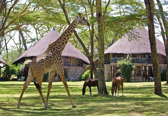 lake-naivasha-sopa-lodge