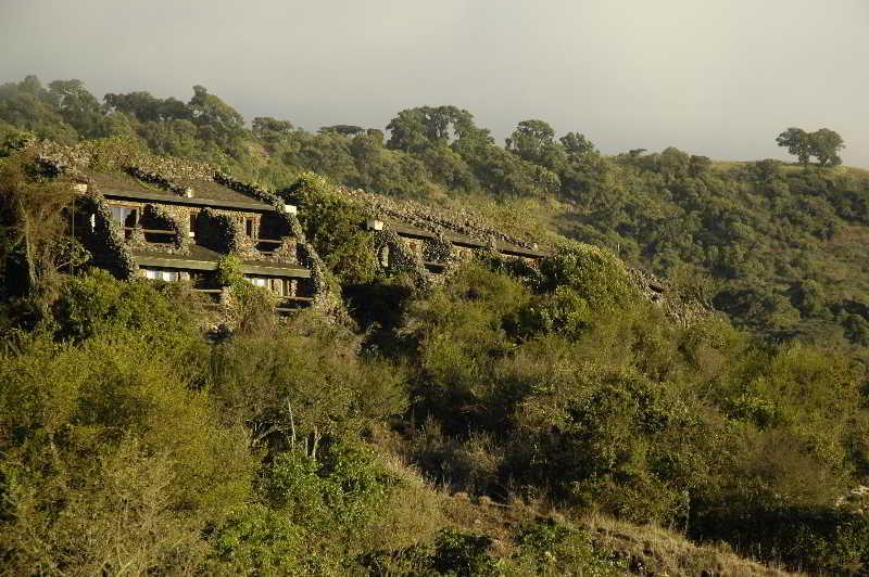 ngorongoro-serena-safari-lodge