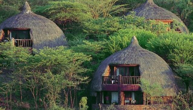 serengeti-serena-safari-lodge