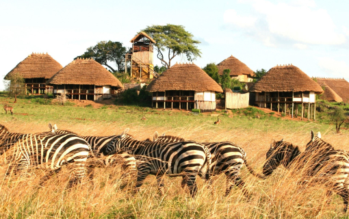 Kidepo Valley National Park