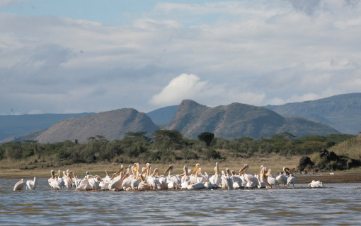 Lake Elementaita