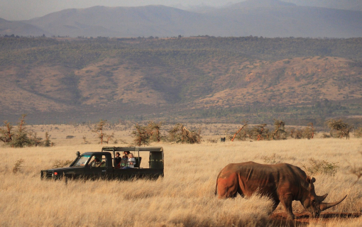 Nairobi National Park