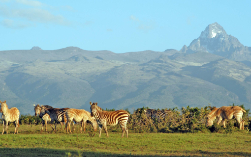Mount Kenya National Park