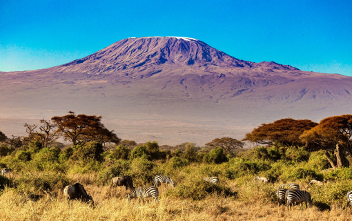 Mount Kilimanjaro