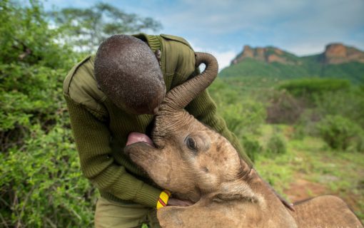 Reteti Wildlife conservancy