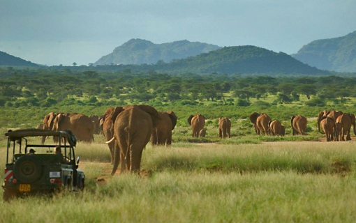 Samburu National Reserve