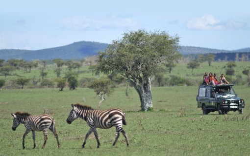 Siana Conservancy