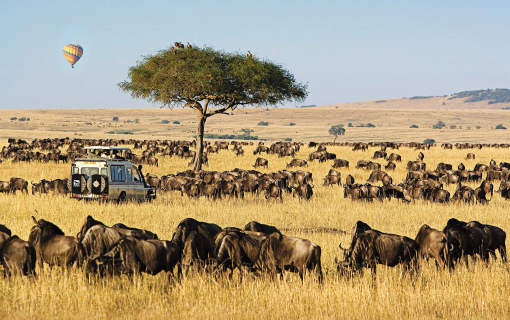 Masai Mara National Reserve