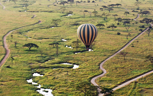 essential-tanzania-safari