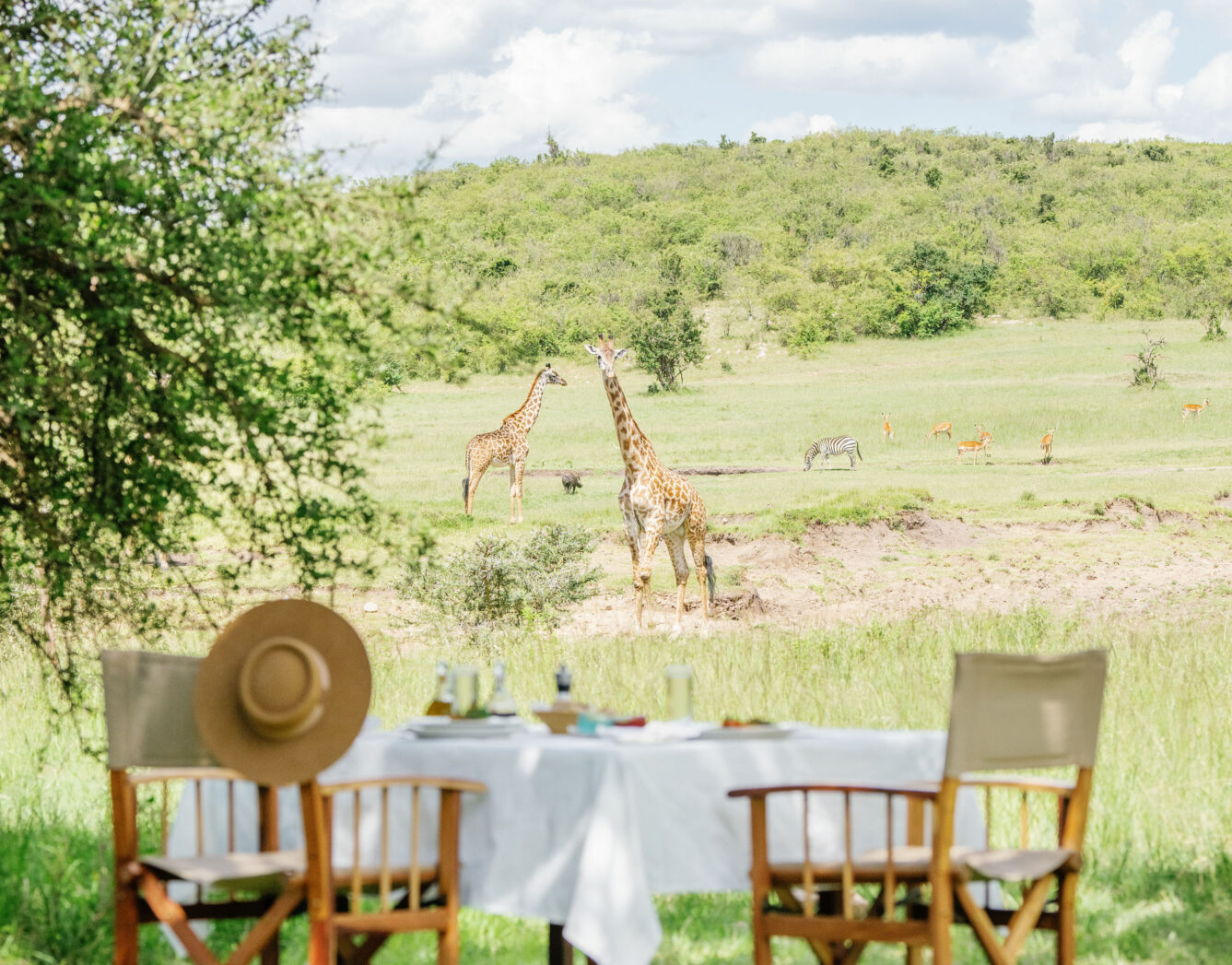 Private dining under stars