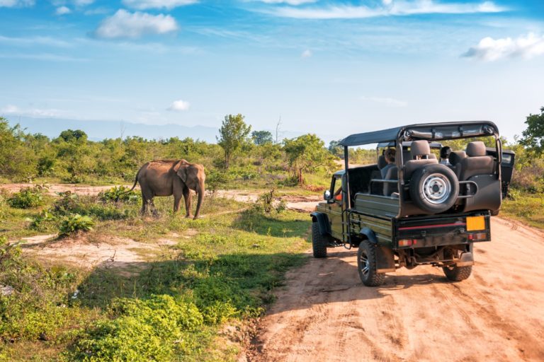 game drive